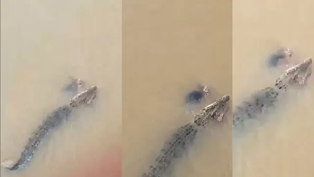 odisha-shocker-57yearold-woman-dragged-into-river-by-crocodile-while-bathing-in-jajpur-caught-on-camera