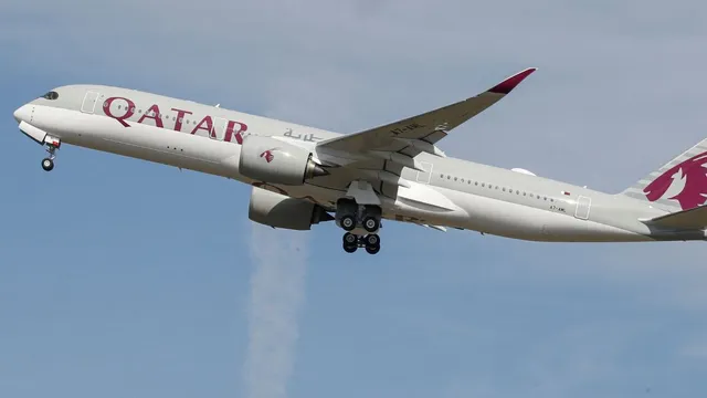 vegetarian-passenger-dies-mid-flight-after-qatar-airways-serves-meat-instead-of-preordered-vegetarian-meal