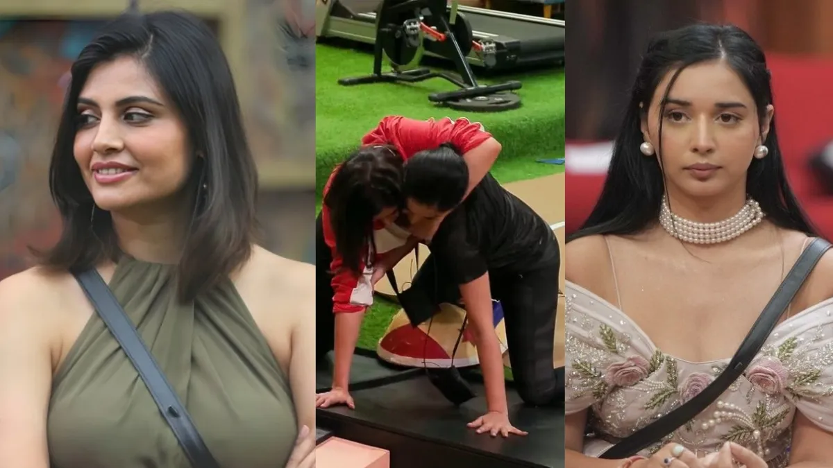 bigg-boss-19-did-tanya-mittal-kiss-amaal-mallik-photo-during-captaincy-task-malti-chahar-claim-leaves-shehbaz-and-neelam-giri-shocked