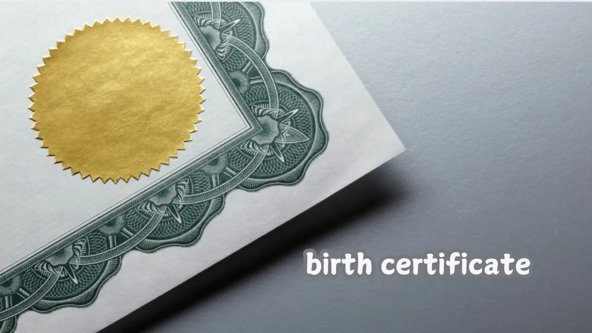 delhi-residents-to-soon-apply-for-birth-caste-certificates-via-whatsapp-under-new-ai-initiative-details