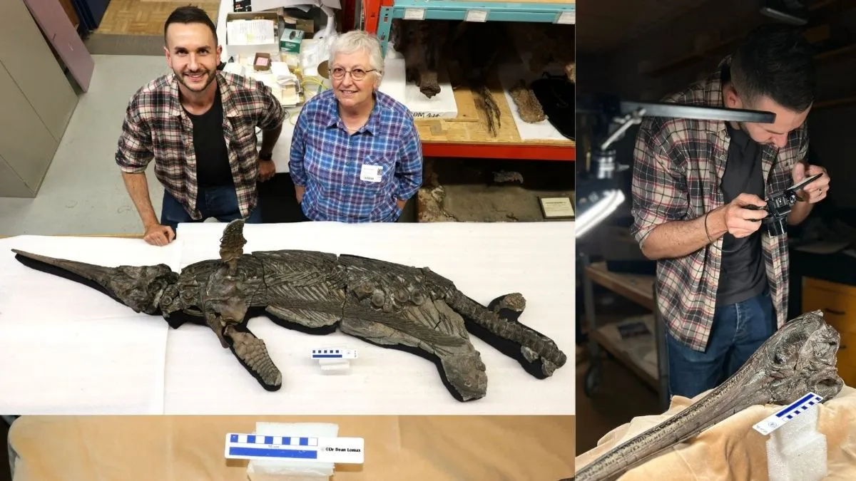 sword-dragon-dorset-190-million-year-old-jurassic-sea-monster-found-in-uk