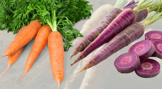carrots-were-not-always-orange-here-what-their-original-colour-was