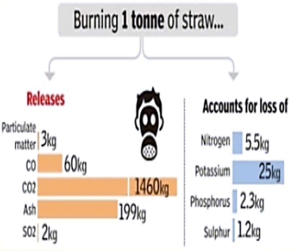 Screenshot 2025-10-11 183828