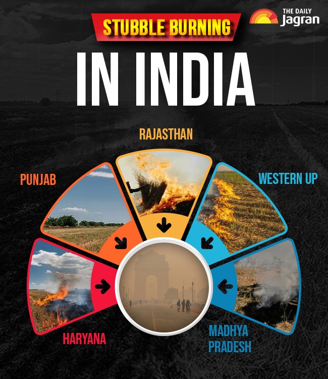 WhatsApp Image 2025-10-11 at 2.18.44 PM