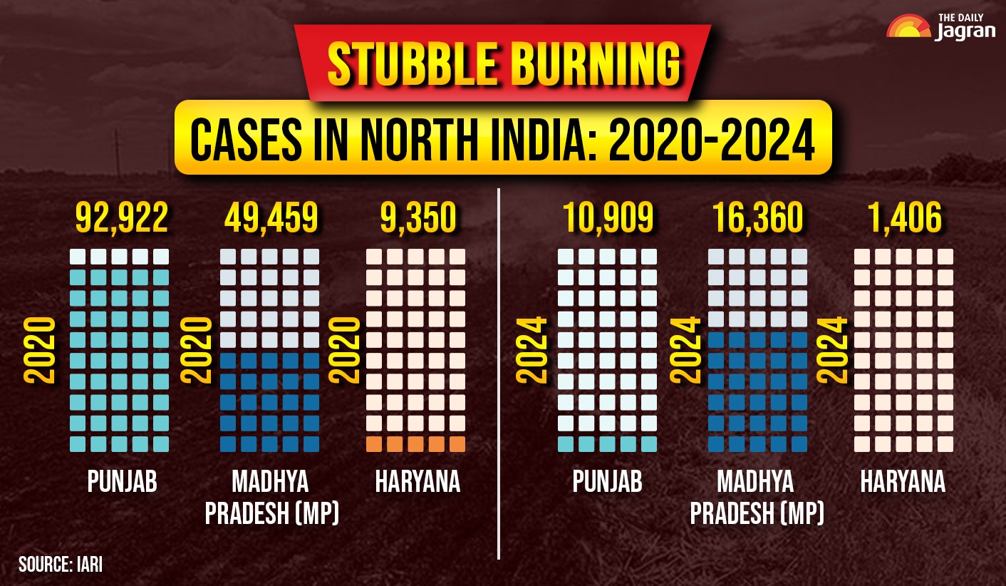 WhatsApp Image 2025-10-11 at 2.46.33 PM