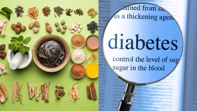 ayurveda-for-diabetes-and-hypertension-expert-explains-a-holistic-approach-to-metabolic-health