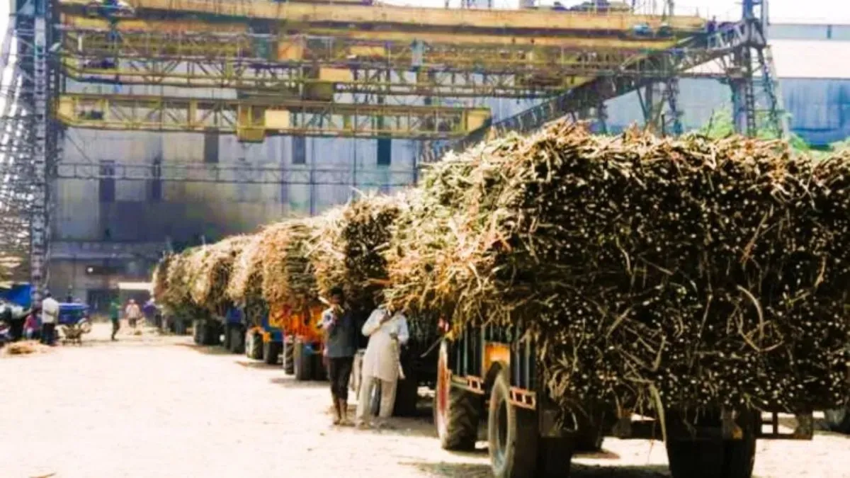 good-news-for-up-farmers-sugarcane-mills-to-start-crushing-on-these-days-in-sitapur
