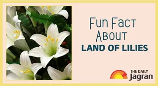 Which Country Is Called The Land Of Lilies? Know Fun Fact About This Foreign Land
