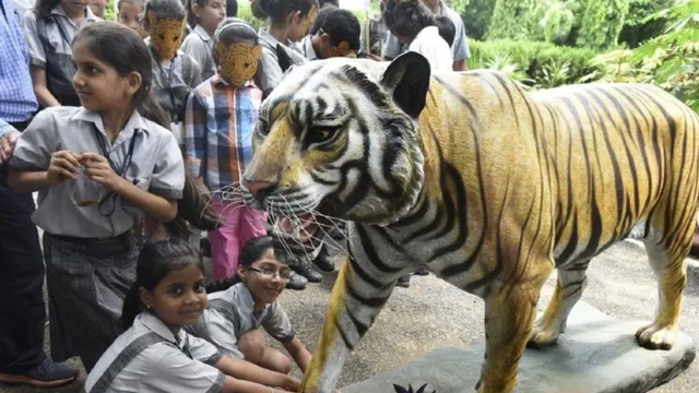 delhi-zoo-adopts-vantara-model-for-major-overhaul-staff-training-underway