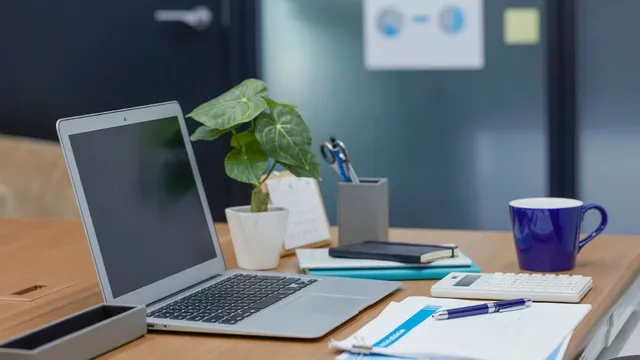 happy-diwali-2025-swap-crackers-for-5-best-plant-gifts-your-office-teammates-will-actually-love-this-deepawali