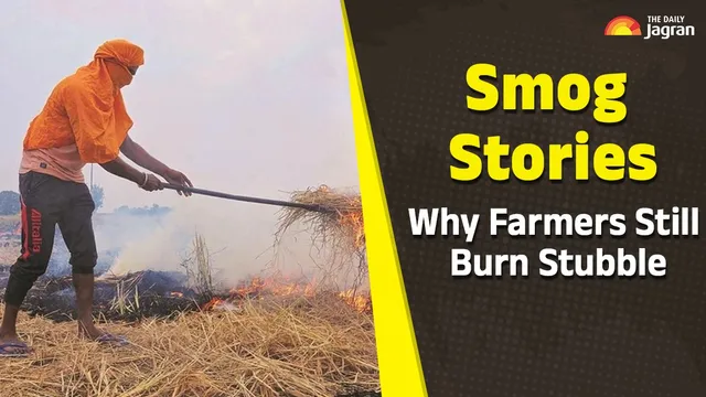 smog-stories-why-farmers-burn-stubble-despite-strong-laws-what-are-their-demands
