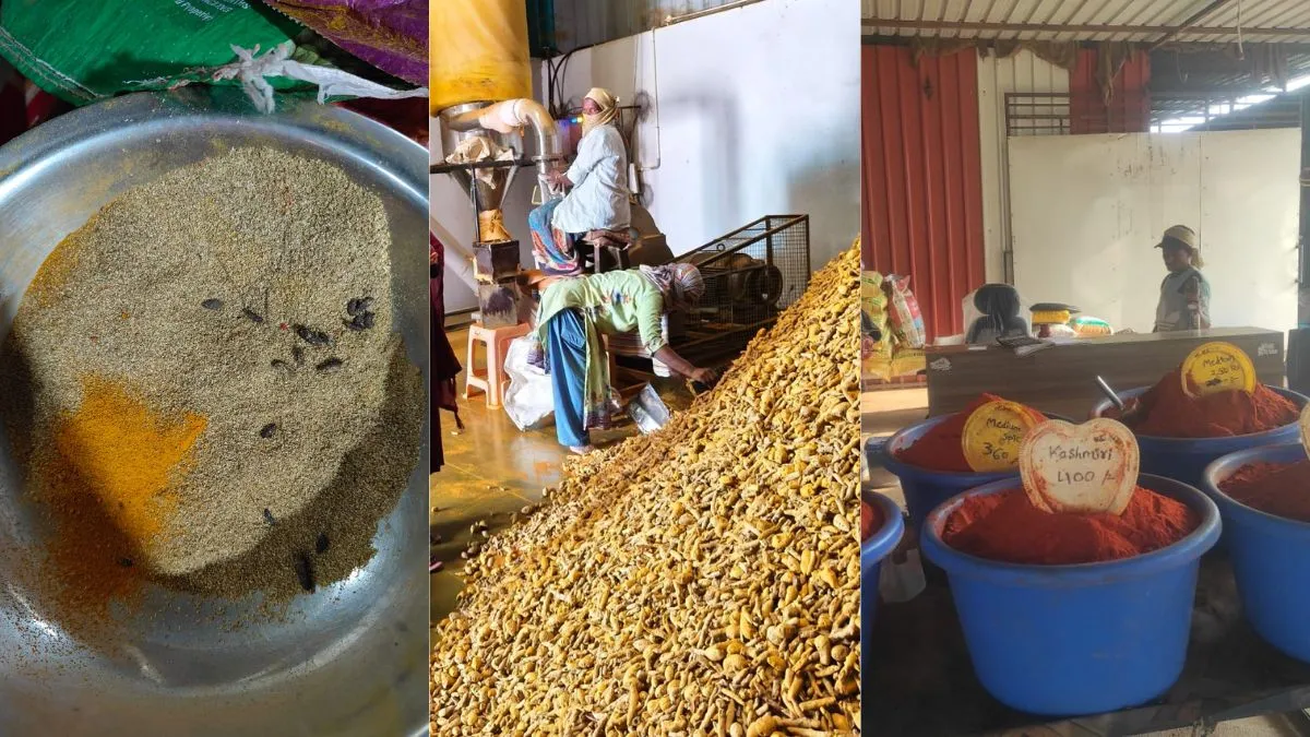 hyderabad-news-telangana-food-safety-dept-raids-30-spice-units-finds-pest-infestation-and-expired-stocks