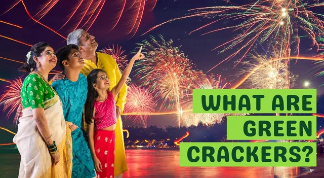 what-are-green-crackers-and-how-are-they-safer-for-the-environment-than-traditional-fireworks