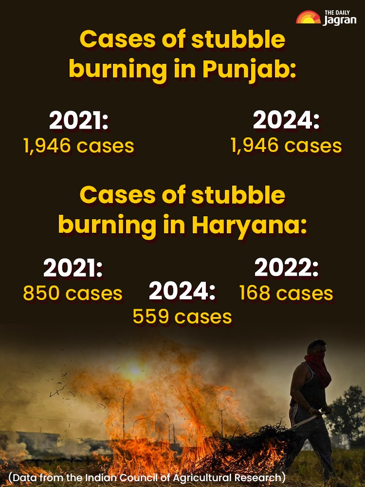 StubbleBurningCases-1760536271609