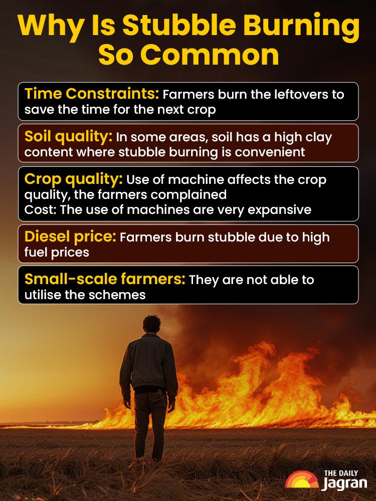 stubbleburningcommon-1760536399875