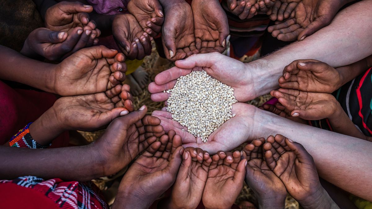 top 10 countries with highest hunger rates in 2025