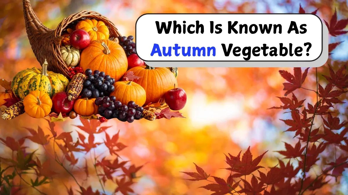 which-vegetable-becomes-a-global-favourite-during-autumn-find-out-the-seasonal-star