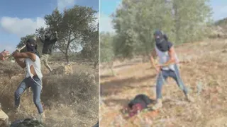 Viral VIDEO Shows Israeli Settlers Brutally Attack 55-Year-Old Palestinian Woman, Victim In ICU After Brain Haemorrhage