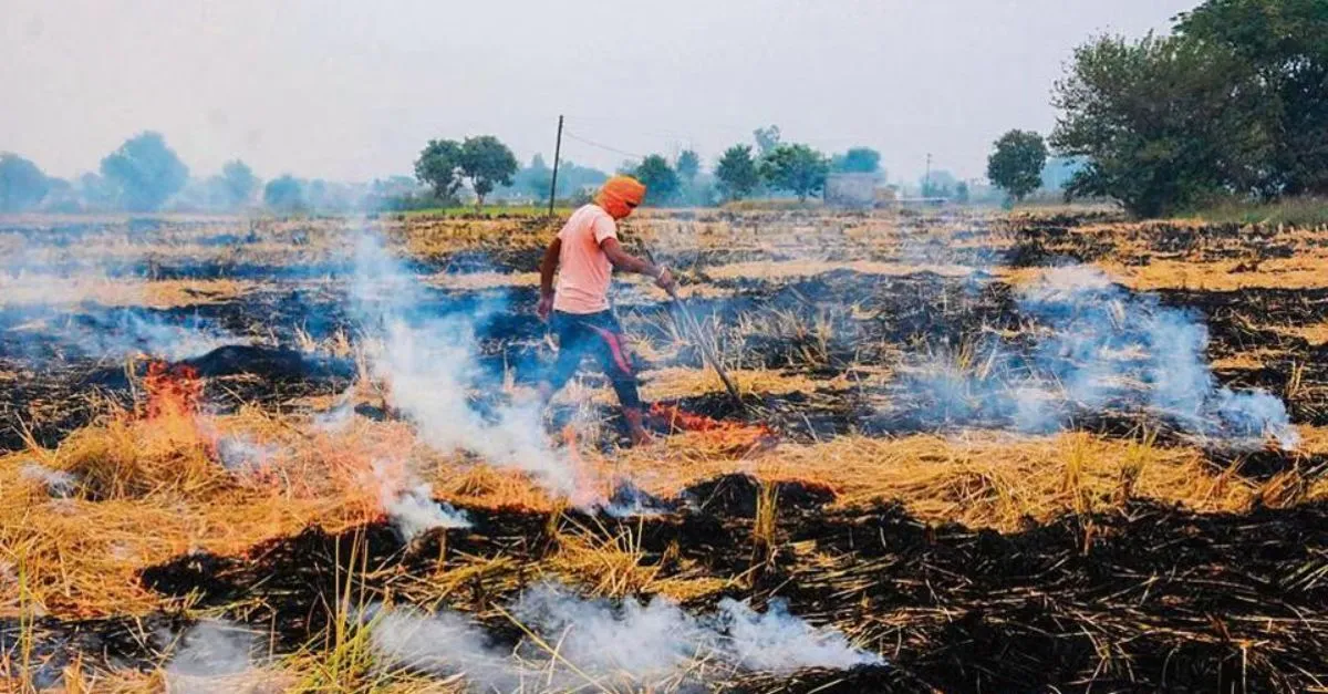 punjab-faces-double-whammy-on-diwali-reports-308-stubble-burning-incidents-and-aqi-hits-500