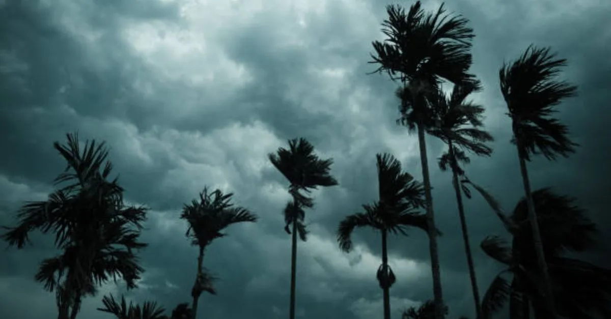 weather-update-post-diwali-imd-forecasts-major-shift-across-india-heavy-rain-fog-and-cyclone-likely-in-these-states-check-temperatures