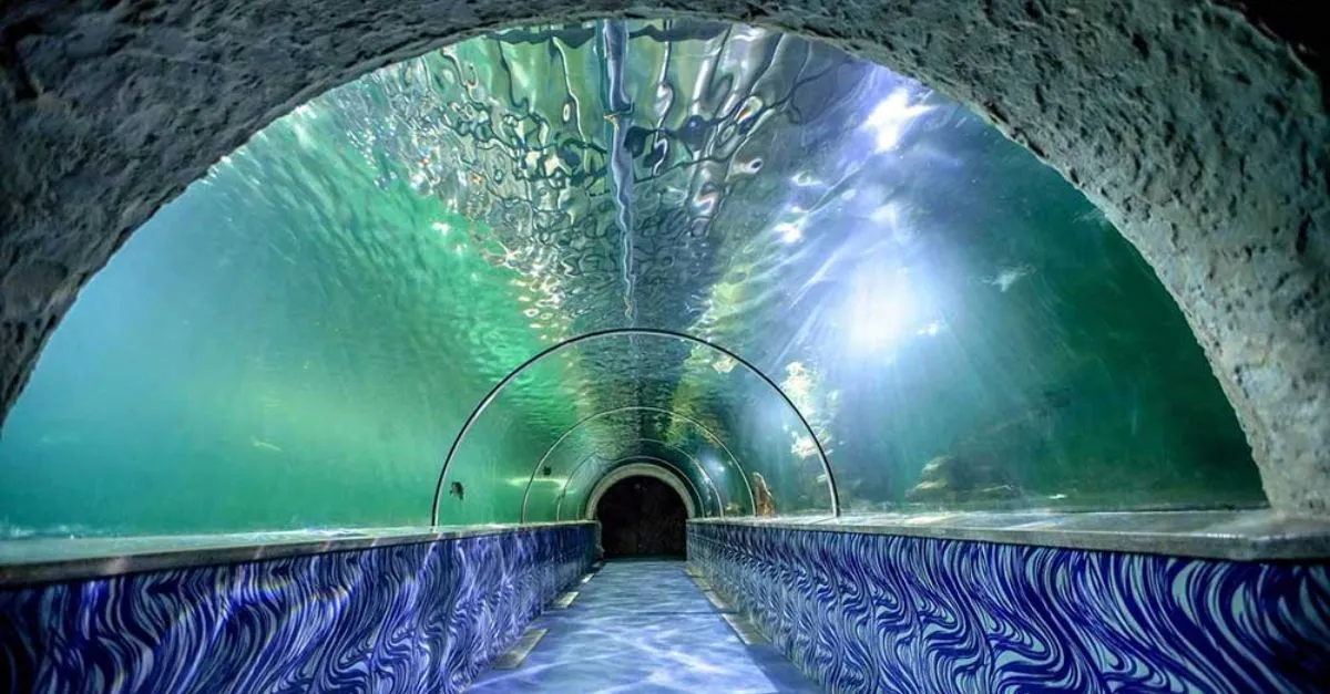 Kerala underwater tunnel project