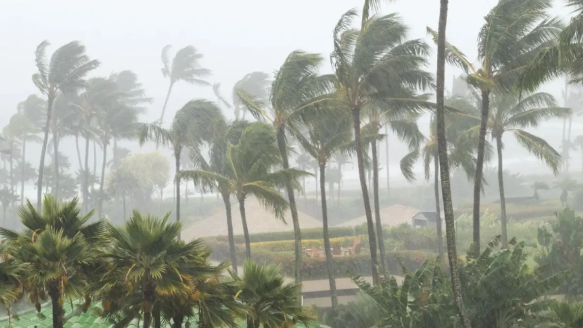 Odisha Weather: IMD Issues Red Alert In Multiple Districts As Cyclone ...