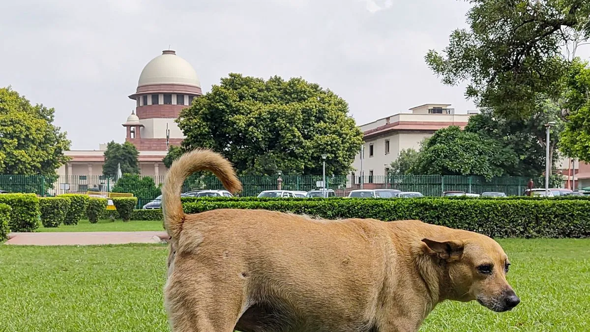 Supreme Court Slams States for Ignoring Stray Dog Control Order: “Your Country Is Being Portrayed in a Bad Light!”