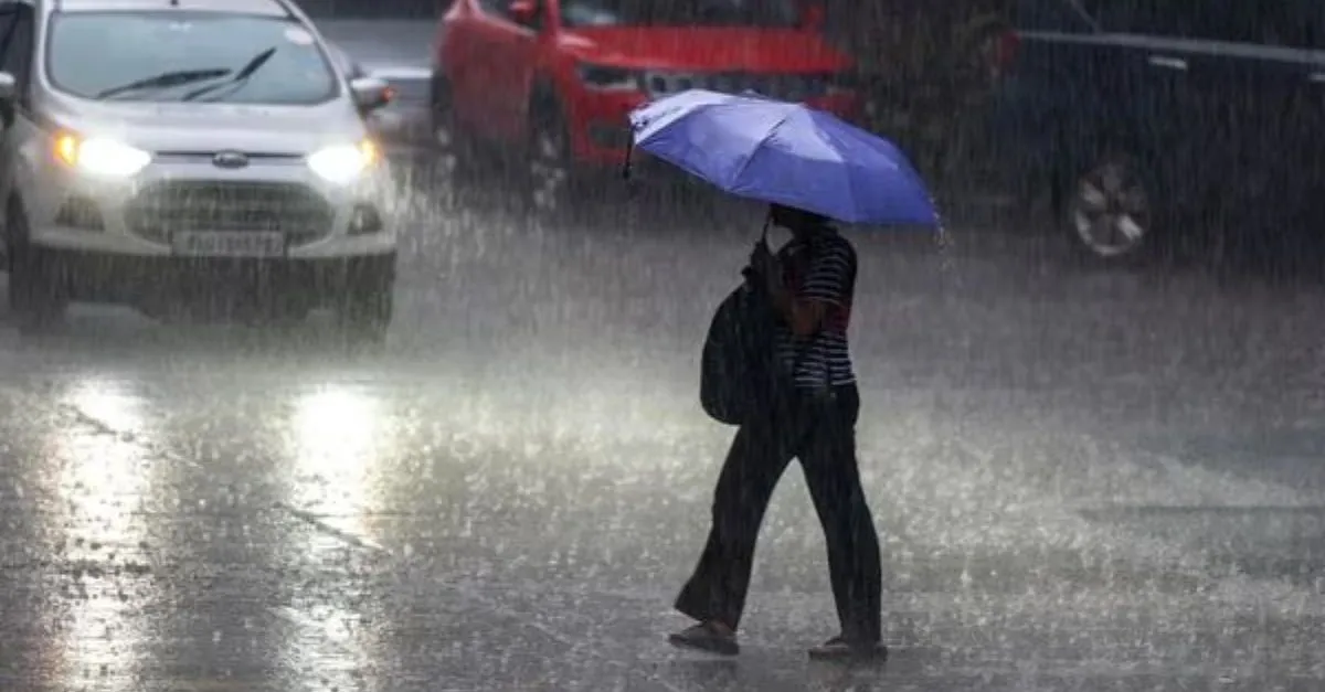 chennai-weather-update-heavy-rain-in-tamil-nadu-districts-cyclone-montha-alert-schools-closed-power-cut-areas