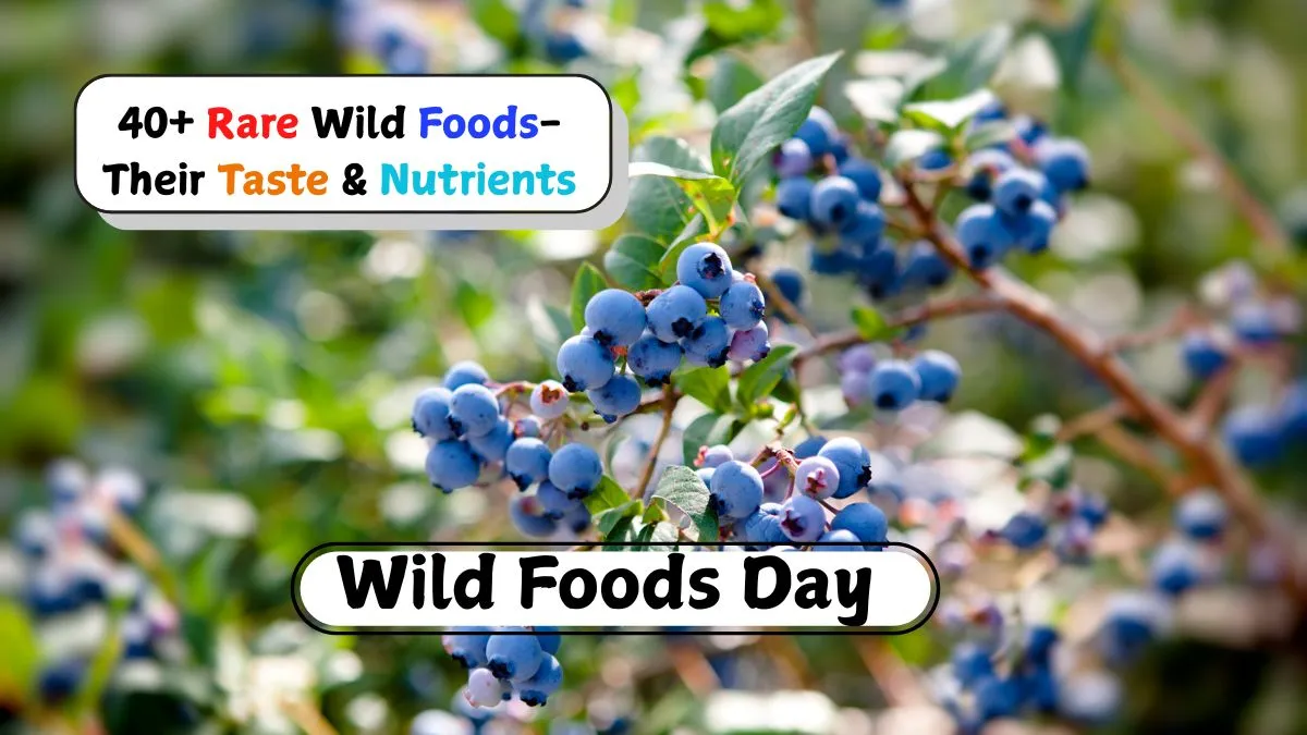 wild-foods-day-2025-rare-wild-foods-packed-with-incredible-nutrients-you-must-know