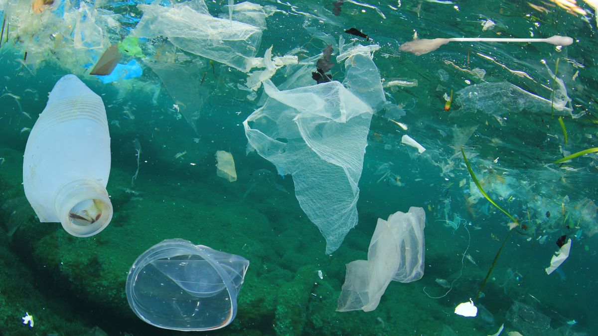 more than 10 million plastics enters to oceans every year (2)
