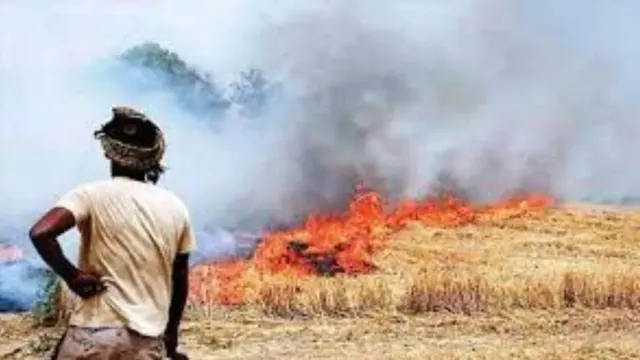 punjab-air-pollution-punjab-reports-933-stubble-burning-cases-punjab-air-quality-aqi-soars-above-500
