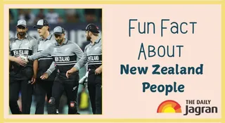 Why People Of New Zealand Are Called Kiwis? Here's The Fun Fact
