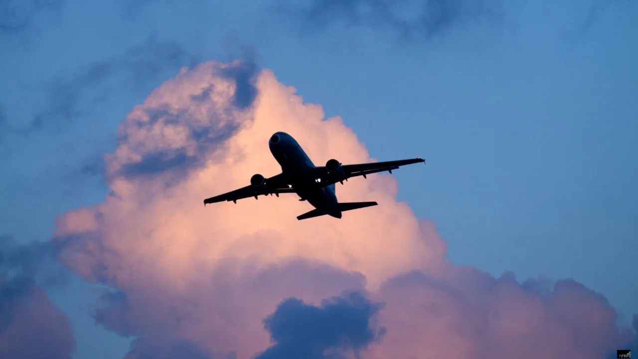 delhi-man-leaves-india-over-unfair-treatment-of-honest-taxpayers-viral-reddit-post-breaks-the-internet