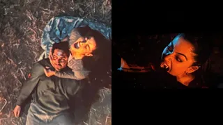 Thamma Box Office Collection Day 9: Ayushmann Khurrana, Rashmika Mandanna’s Movie Slows Down After Entering Rs 100 Crore Club