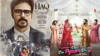 Bollywood Movies Releasing In November: Haq To De De Pyaar De 2, What To Watch In Theatres This Month?