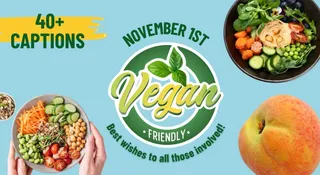 World Vegan Day: 40+ Captions To Flaunt Your Vegan Meals On WhatsApp, Facebook And Instagram