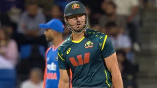 AUS vs IND 3rd T20I: Marcus Stoinis, Tim David Storm In Hobart Lift Australia To 186/6 Against India