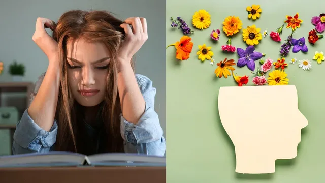 how-stress-and-lack-of-sleep-affect-memory-and-brain-health-doctor-explains