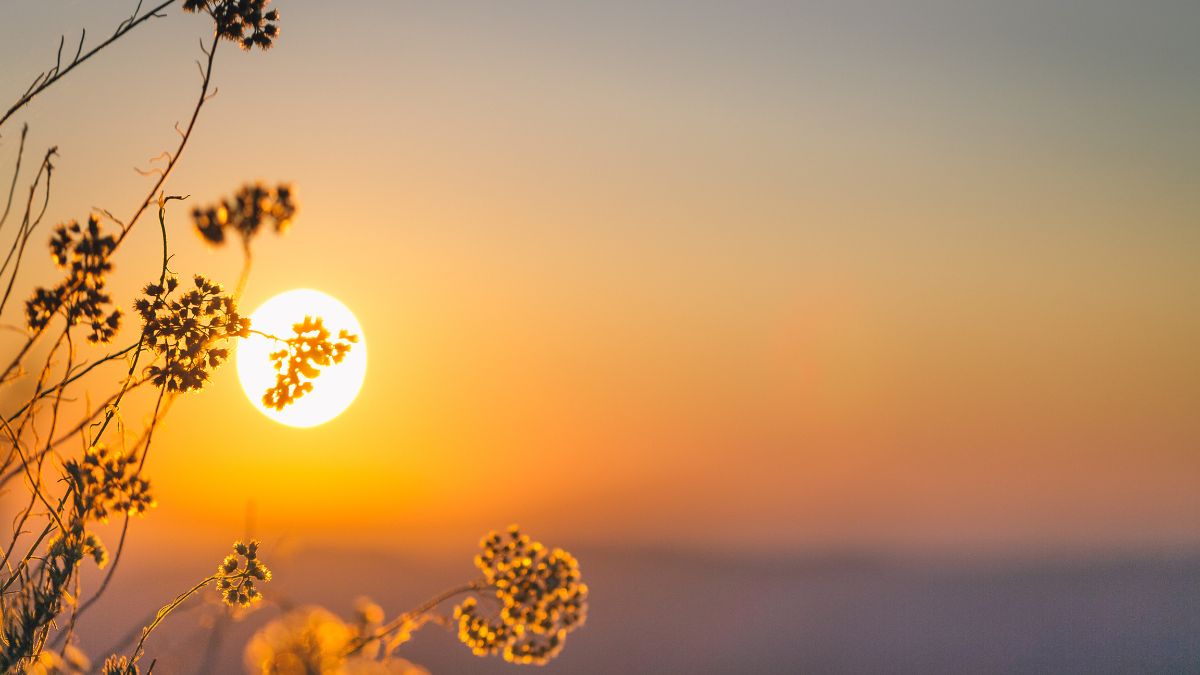 why sunlight feels softer and golden  in autumn season (2)