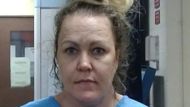 ex-tv-reporter-allegedly-stabs-80-year-old-mother-to-death-on-halloween