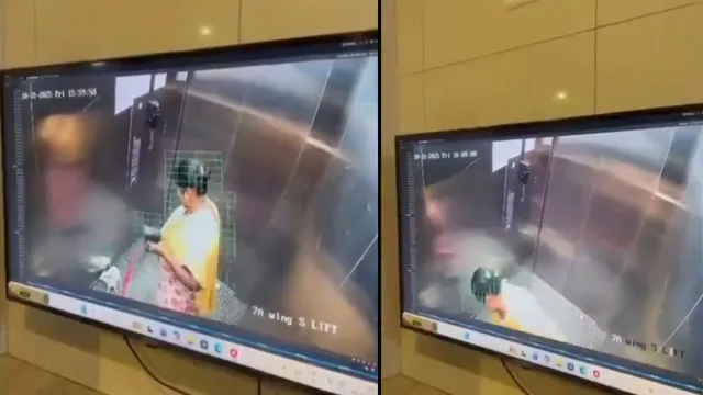 bengaluru-murder-4yearold-pet-dog-killed-by-domestic-help-inside-lift-watch-video