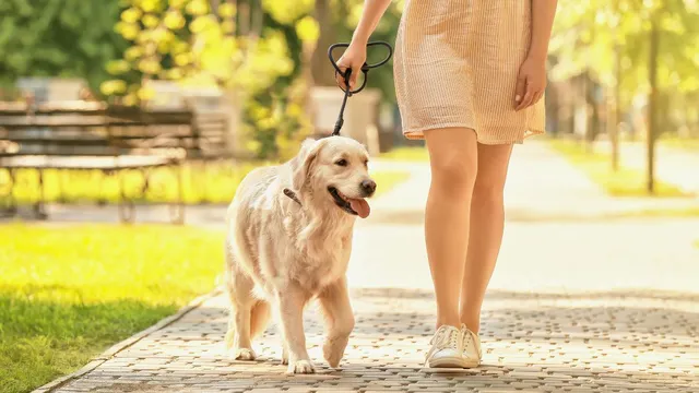 bengaluru-shocker-man-masturbates-in-front-of-woman-out-on-a-morning-walk-fir-filed