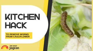 Kitchen Hack To Flush Out Hidden Worms From Cauliflower In Minutes