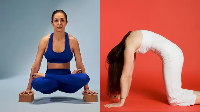 too-lazy-to-work-out-malaika-arora-6-stretches-to-jumpstart-your-morning