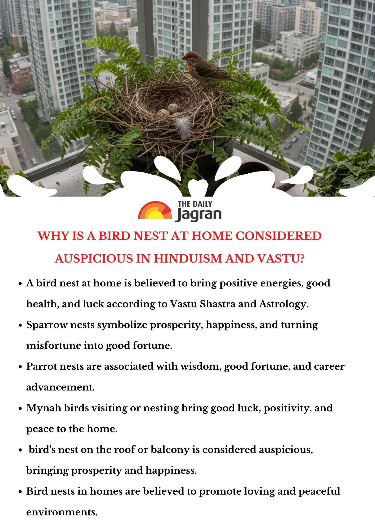 birds-nest-meaning-astrology-hinduism
