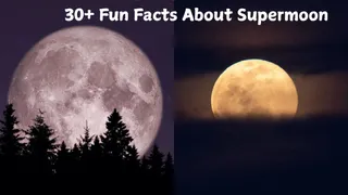 30+ Amazing Fun Facts About Supermoon You Must Know: Why It Looks Bigger, Brighter And Magical