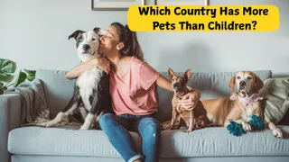 Which Country Has More Pets Than Children? Know Reason Behind This Shocking Modern Reality