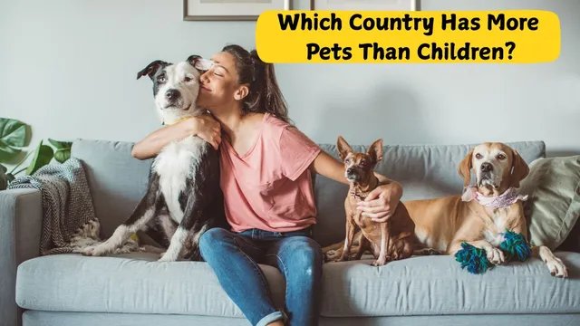 which-country-has-more-pets-than-children-know-reason-behind-this-shocking-modern-reality