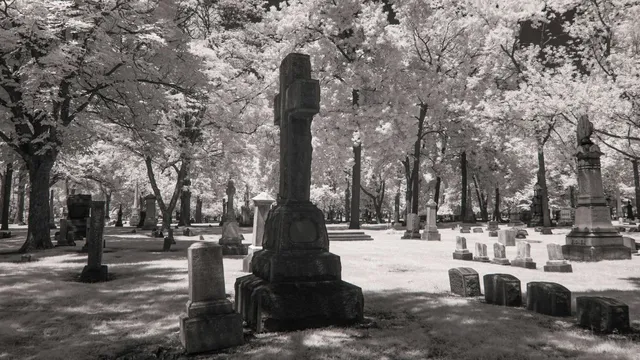 france-cemetry-lottery-paris-residents-can-win-cemetery-space-with-jim-morrison-and-oscar-wilde