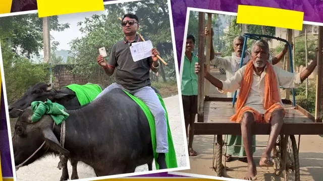 bihar-unique-style-voting-voter-arrives-on-a-buffalo-to-cast-vote-urges-others-to-join